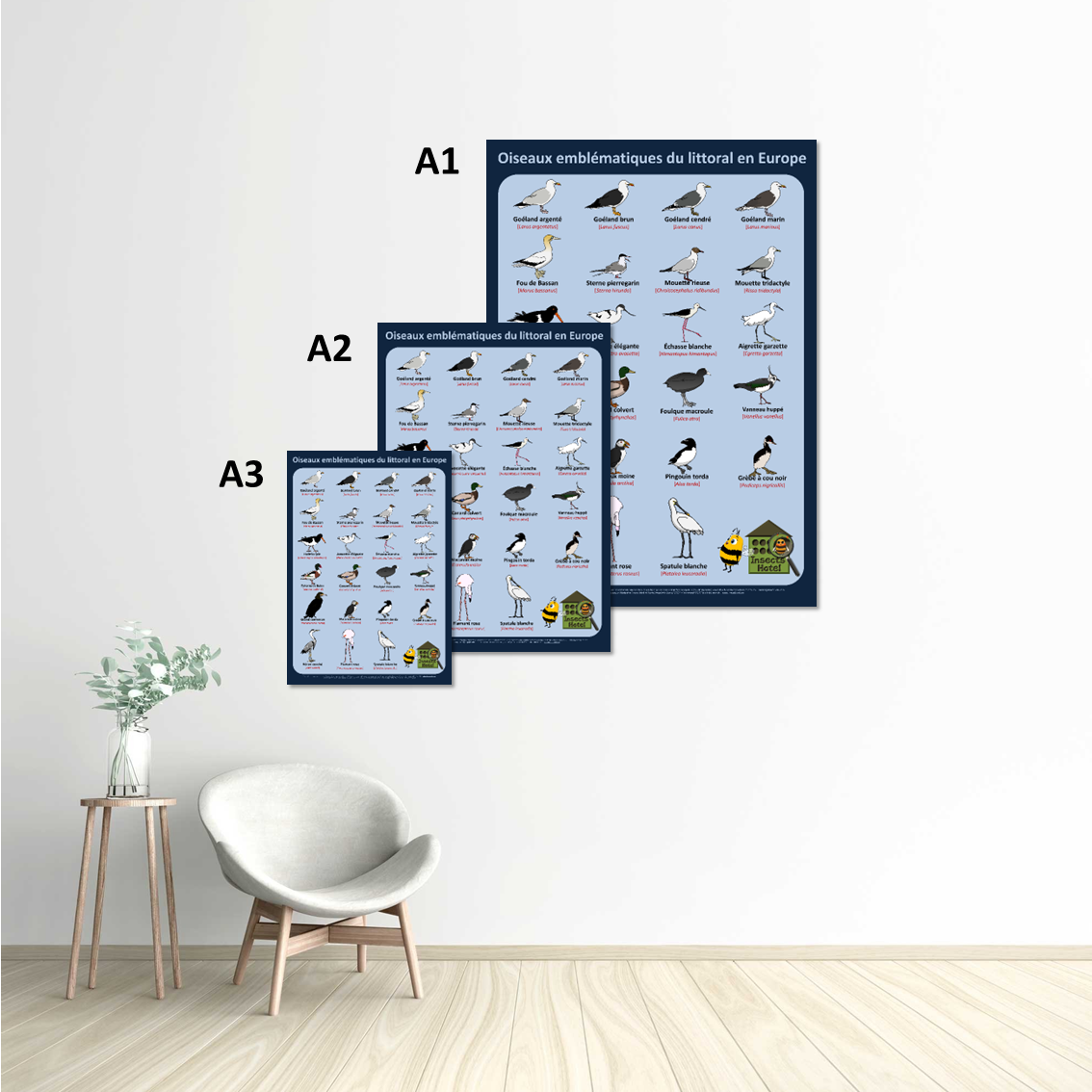 product_image_337750