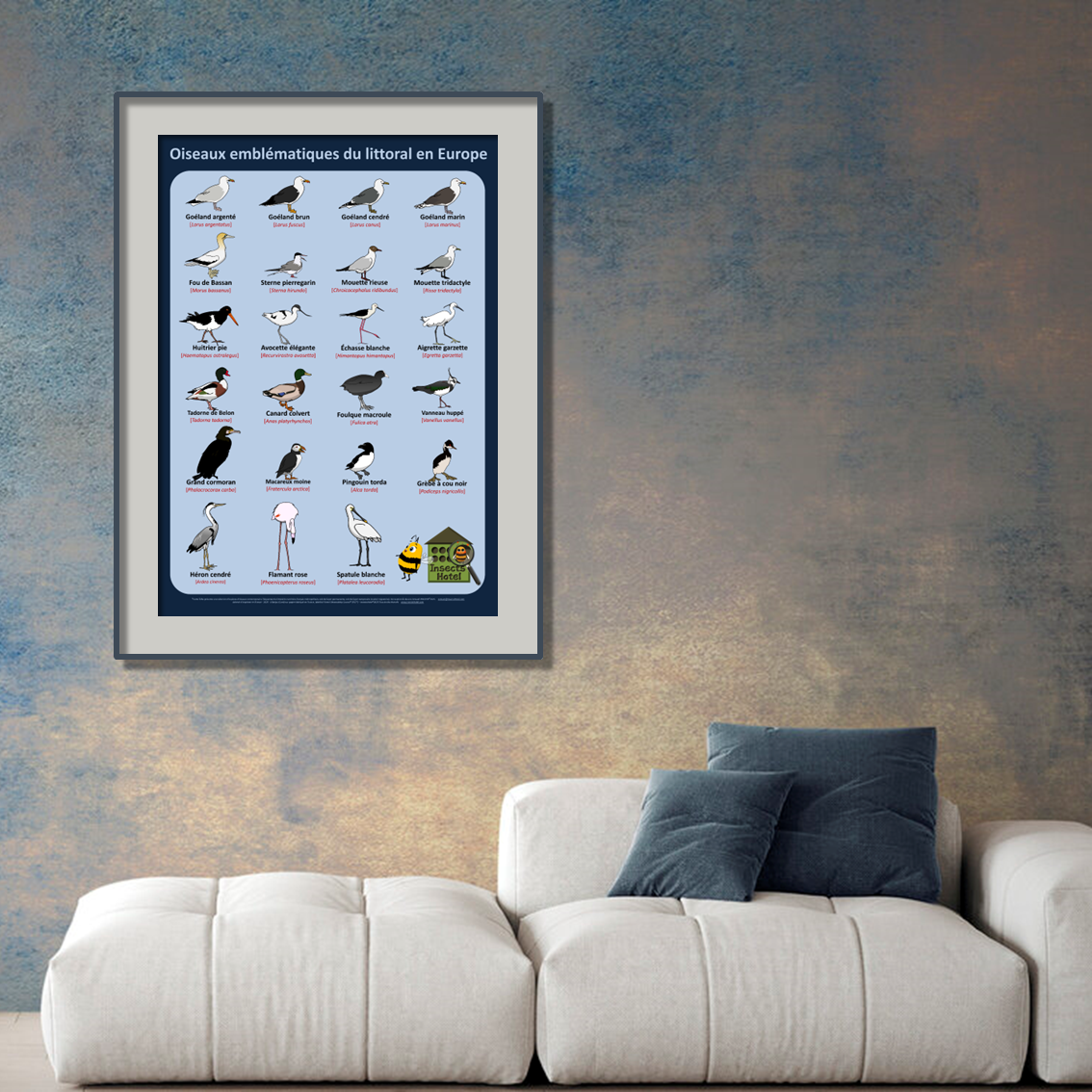 product_image_636730