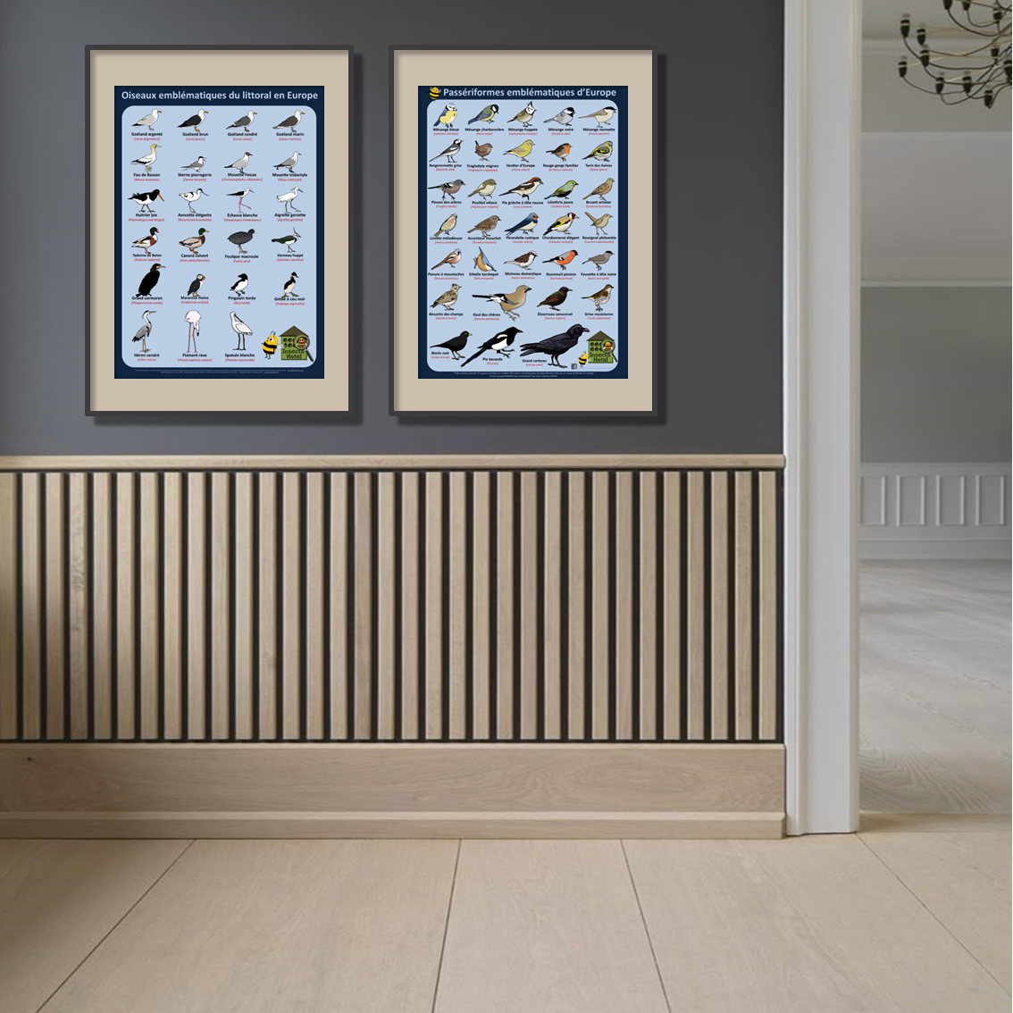 product_image_355734