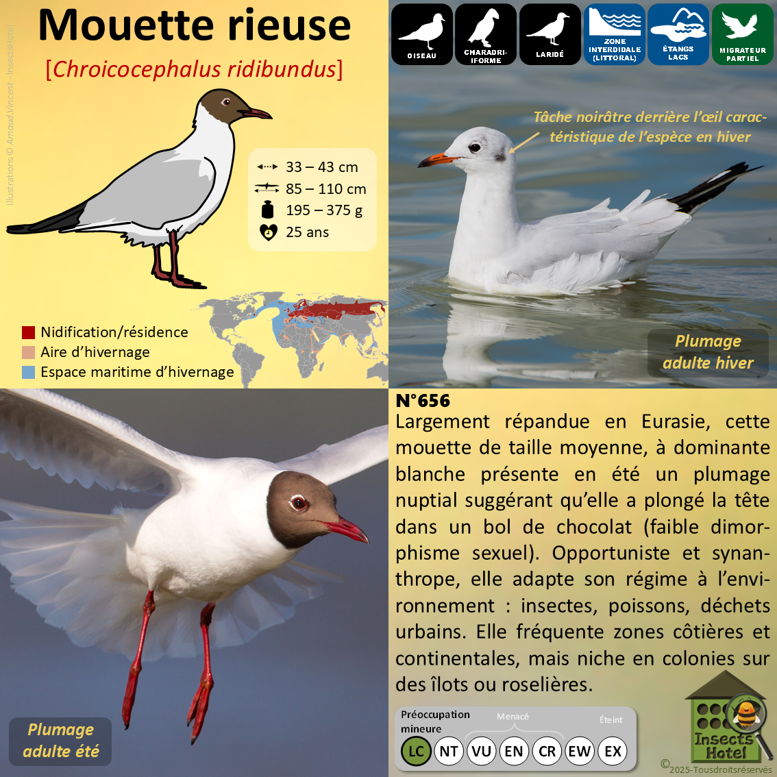 product_image_572421