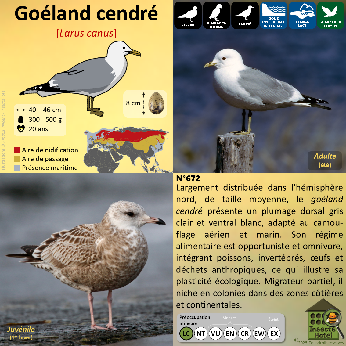 product_image_236077