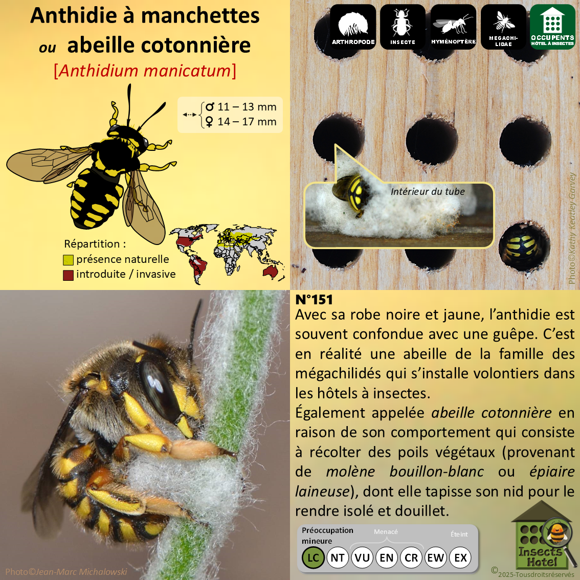 product_image_365357