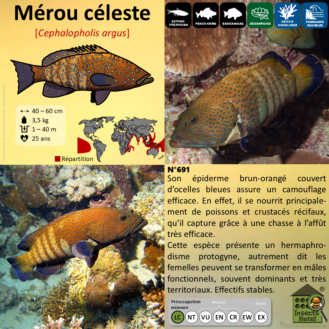 product_image_192991