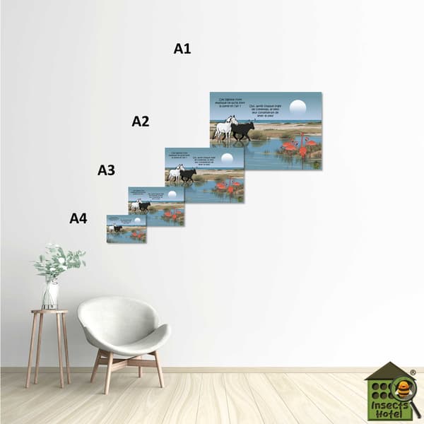 Image back Poster - "Camargue"