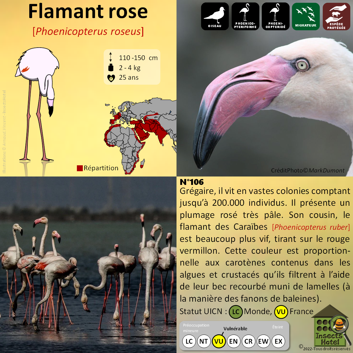 product_image_609740