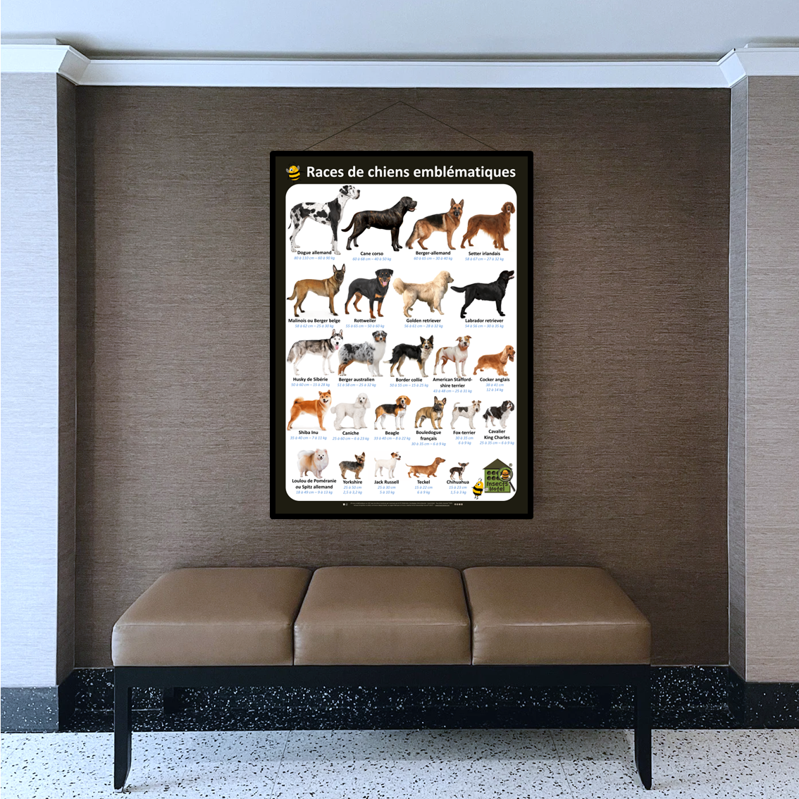 product_image_149351