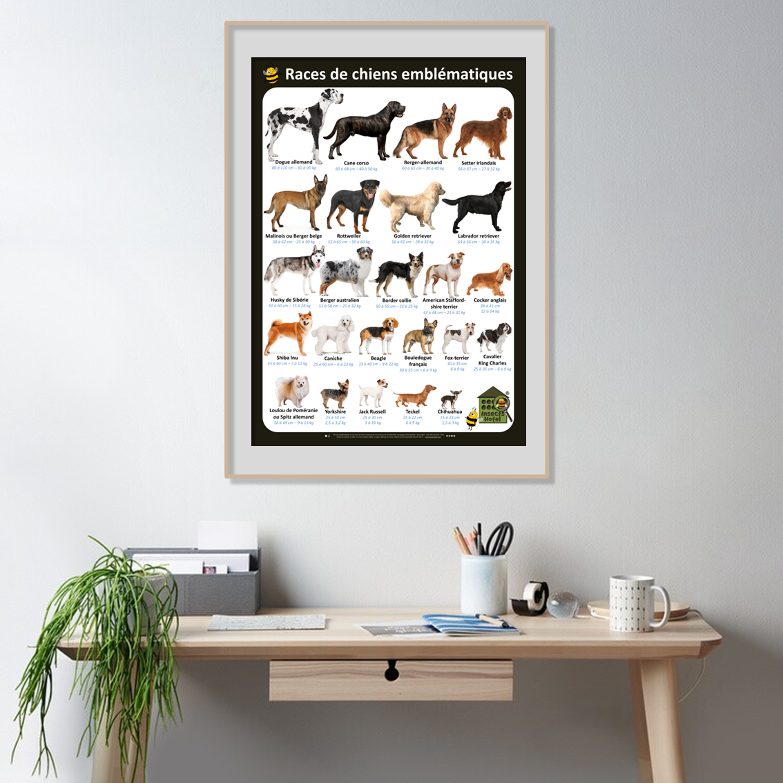 product_image_140994