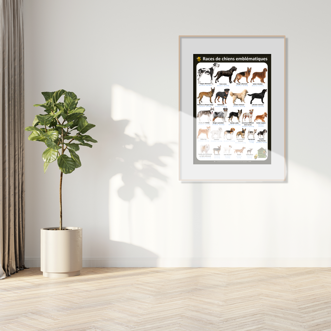 product_image_827070