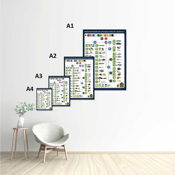 Image back Poster - Taxonomie illustrée des "poissons"