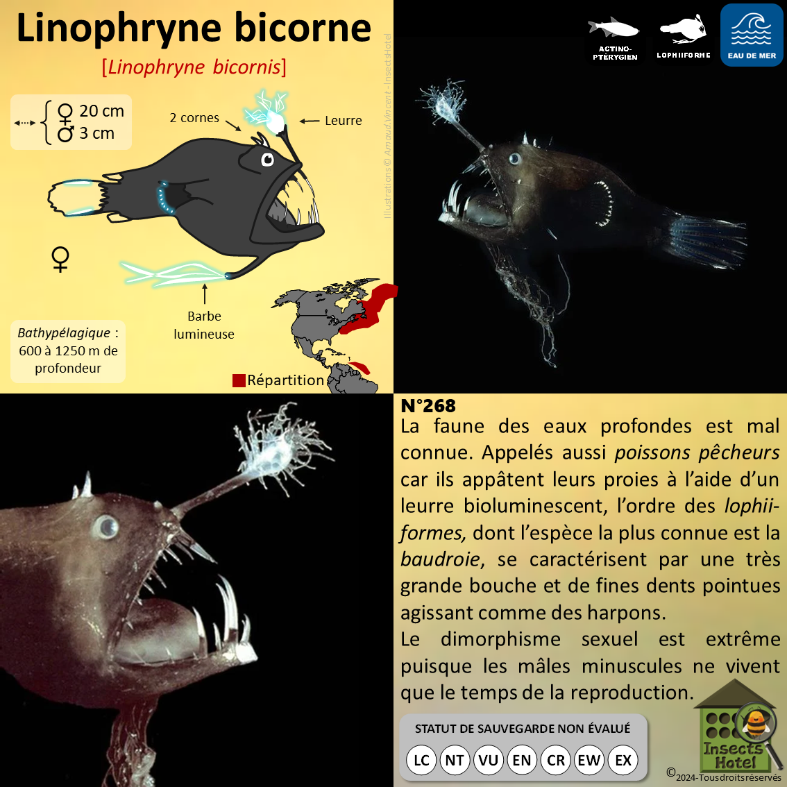 product_image_208387