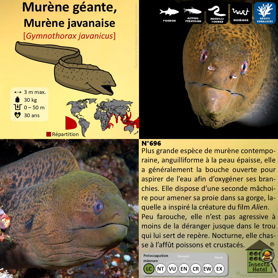 product_image_742891