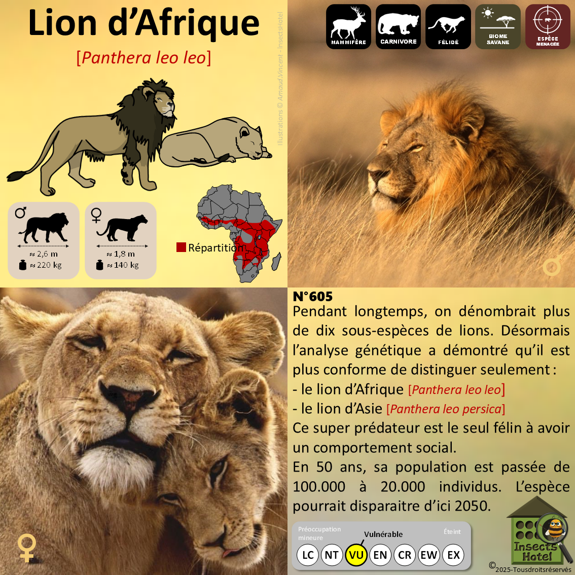 product_image_630311