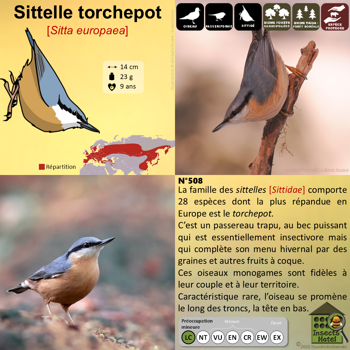 product_image_280804