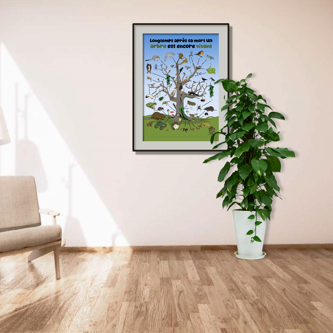 product_image_997726