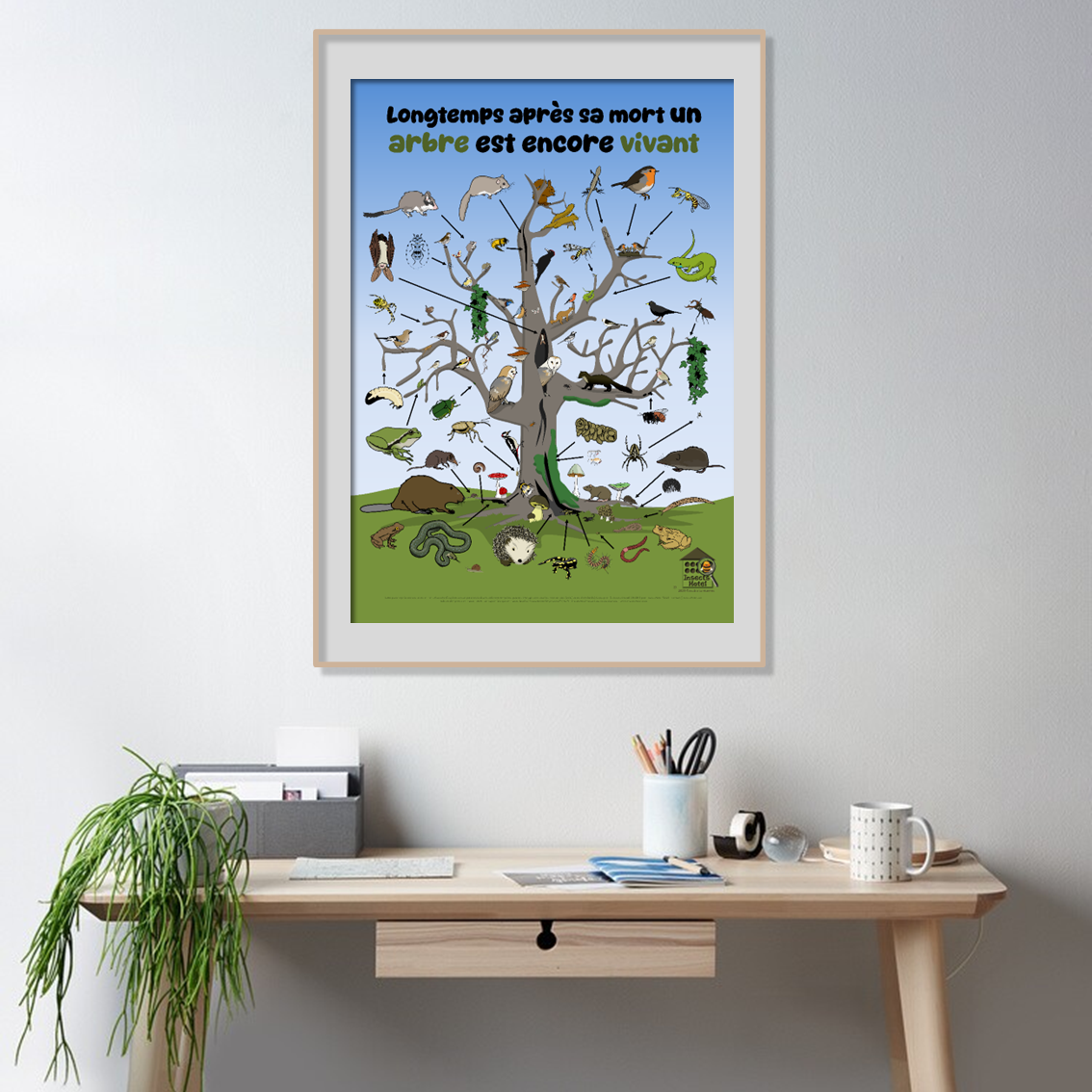 product_image_527080