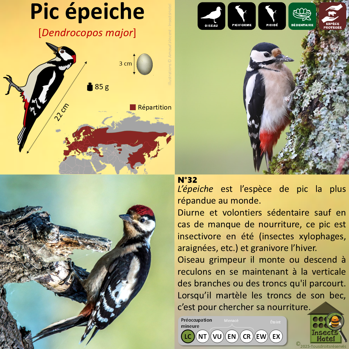 product_image_766121