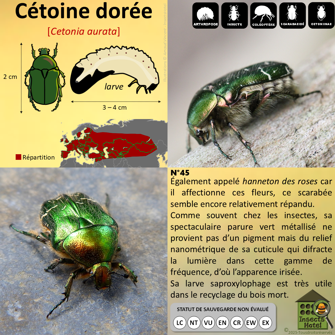 product_image_685865