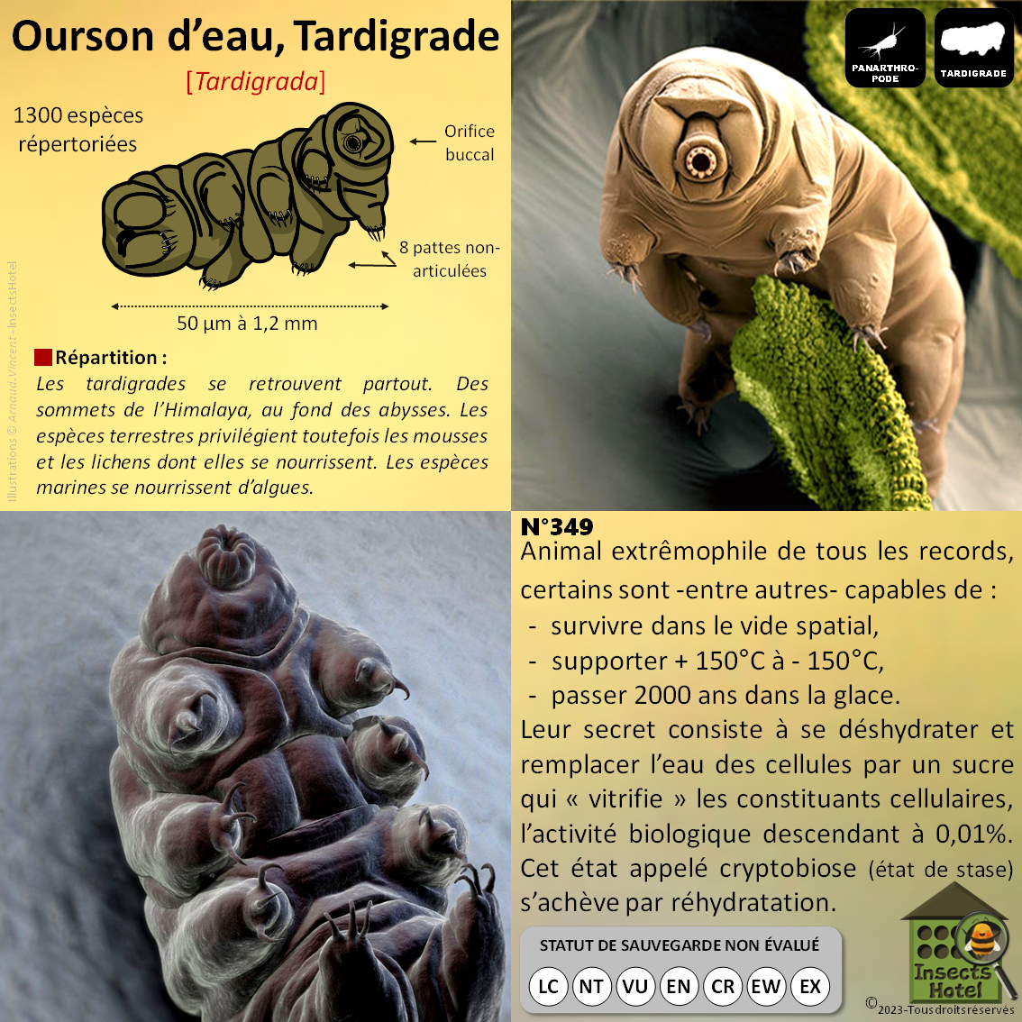 product_image_107252