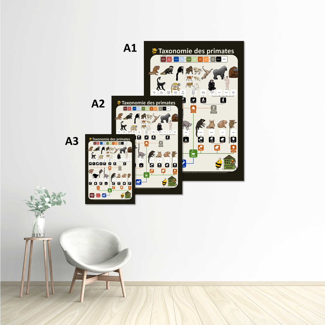 Image back Poster - Taxonomie illustrée des "primates"