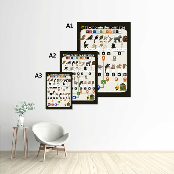 Image back Poster - Taxonomie illustrée des Primates