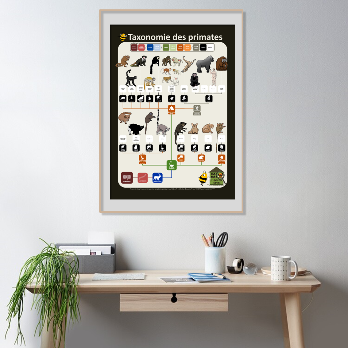 product_image_899471