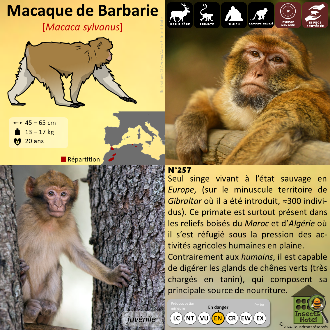 product_image_193986