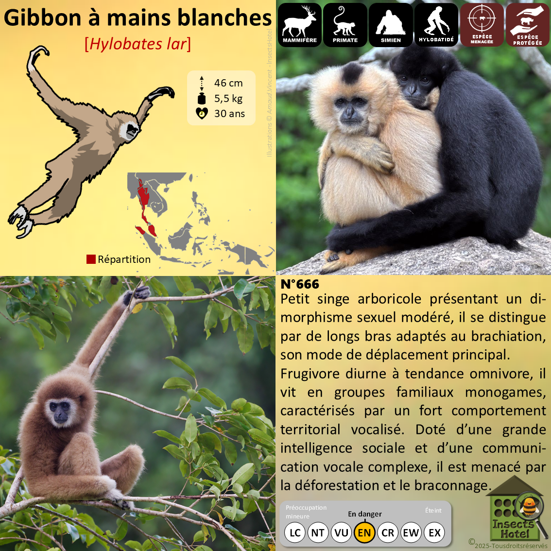 product_image_499173