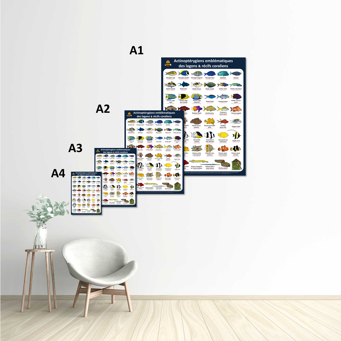 product_image_194462