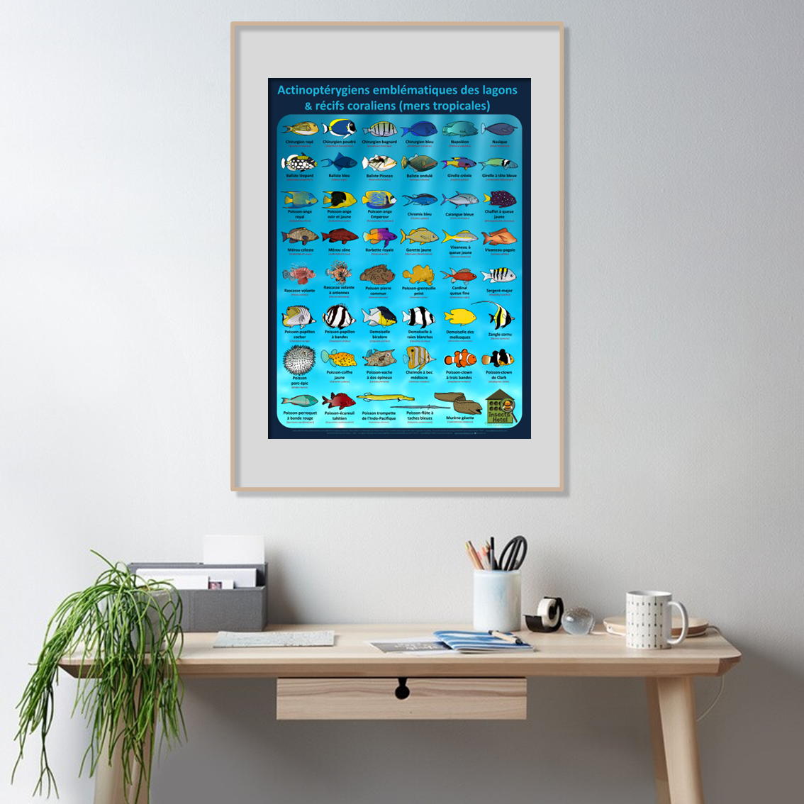 product_image_735999