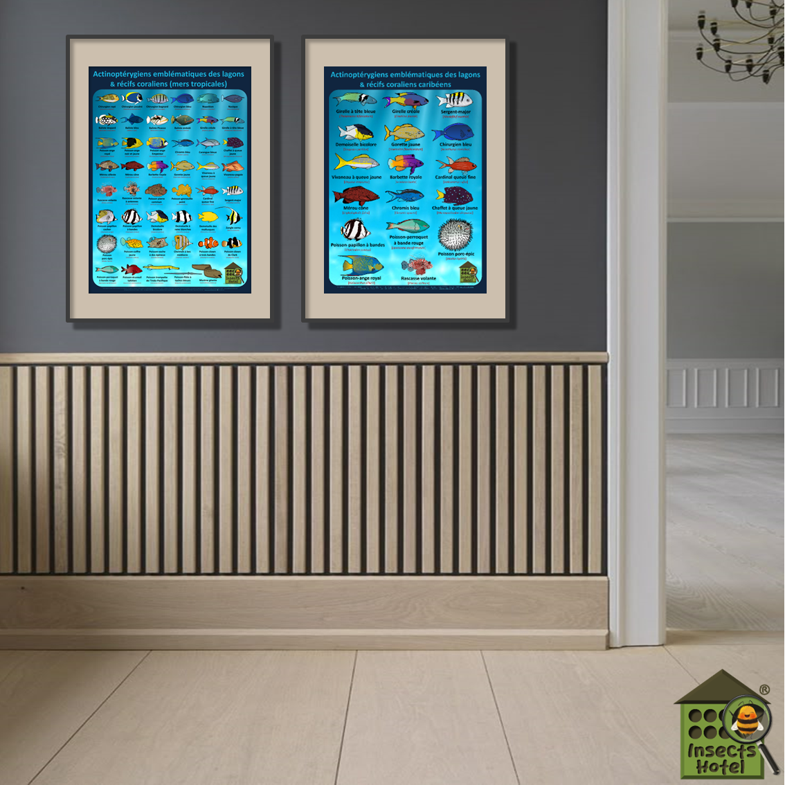 product_image_470708