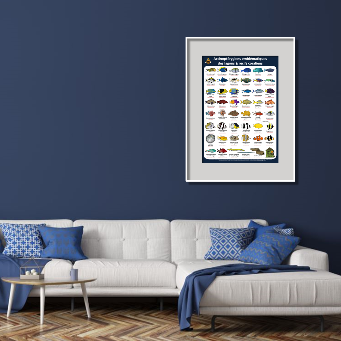 product_image_341335