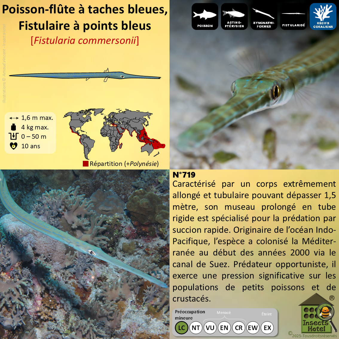 product_image_667995