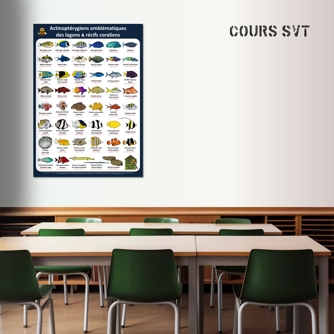 product_image_853751