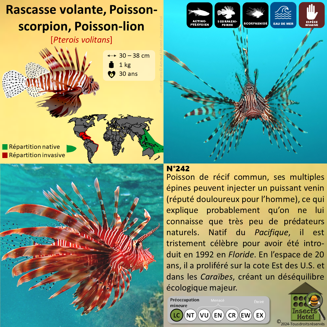 product_image_135651