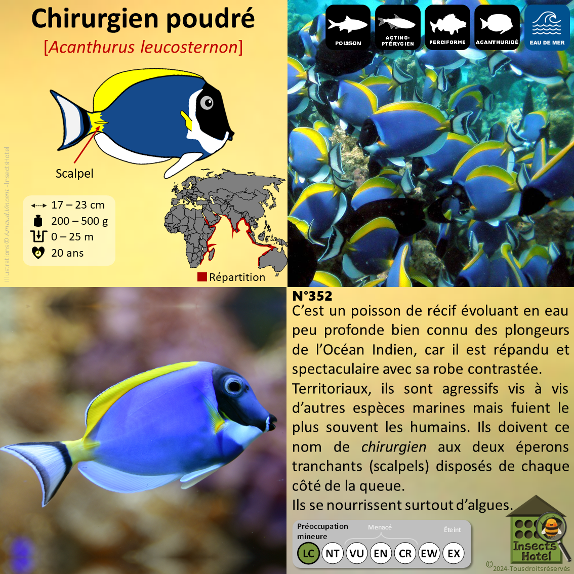 product_image_634860