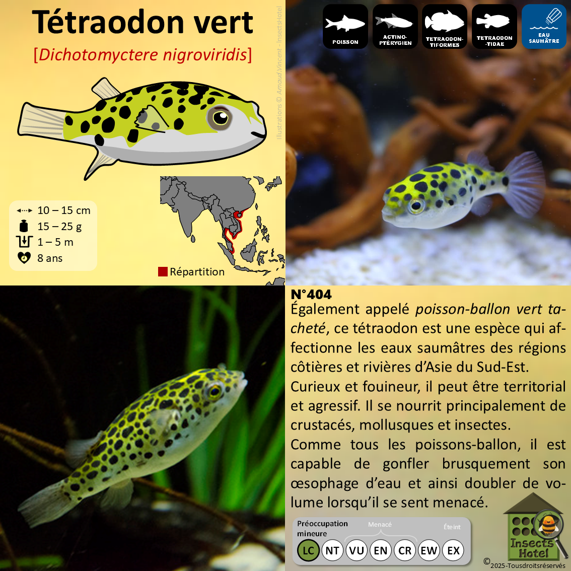 product_image_926408