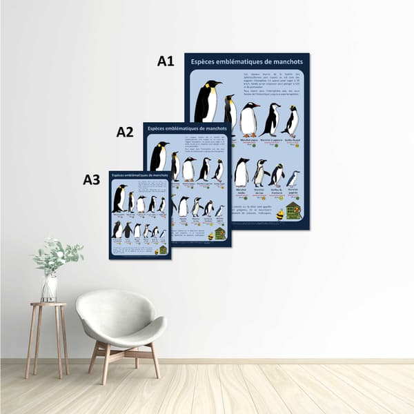Image back Poster - Manchots emblématiques