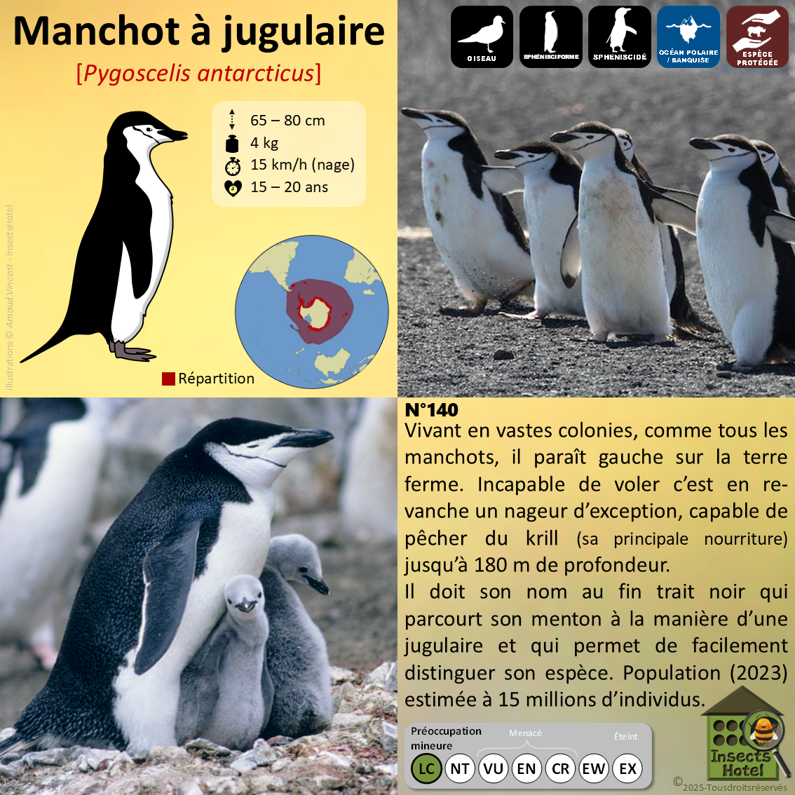 product_image_705498