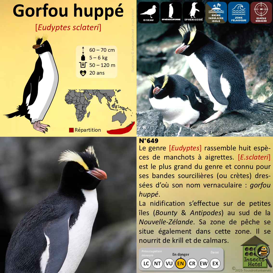 product_image_518446