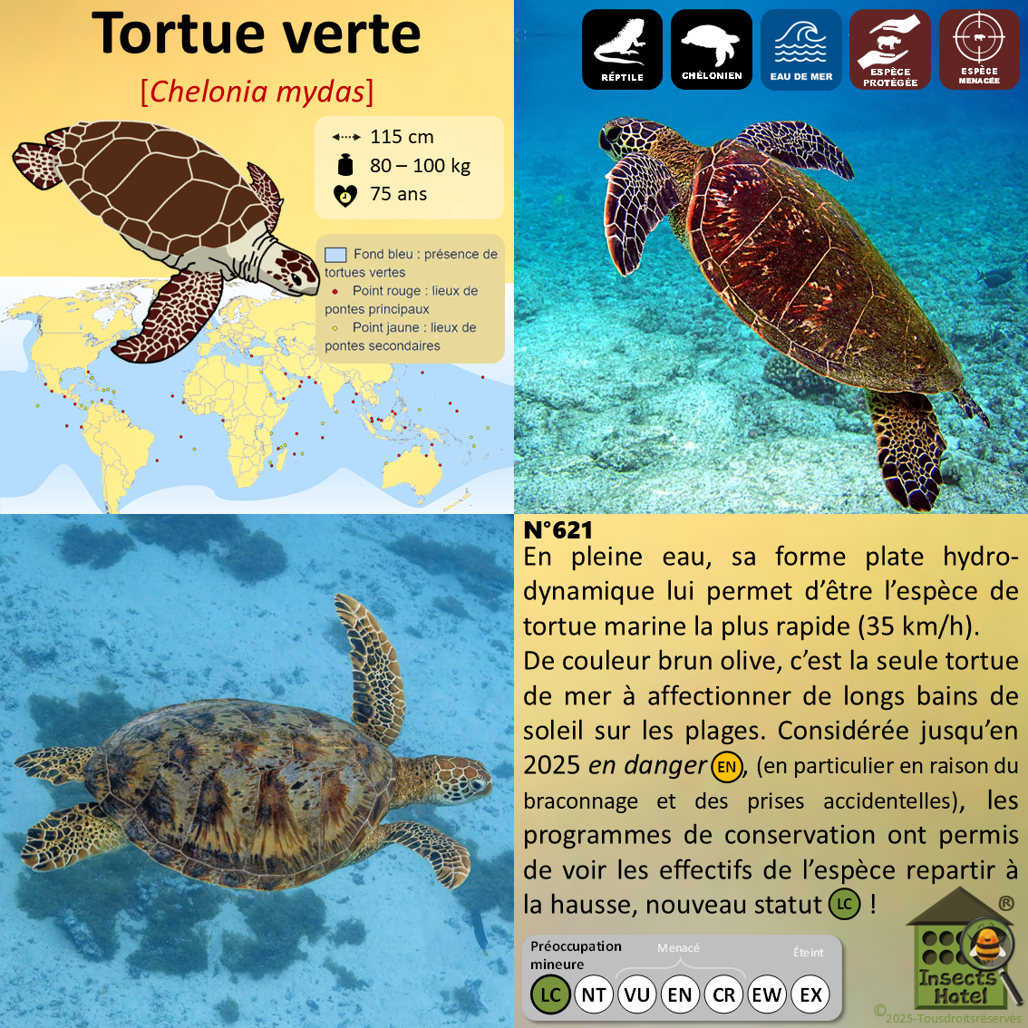 product_image_308552