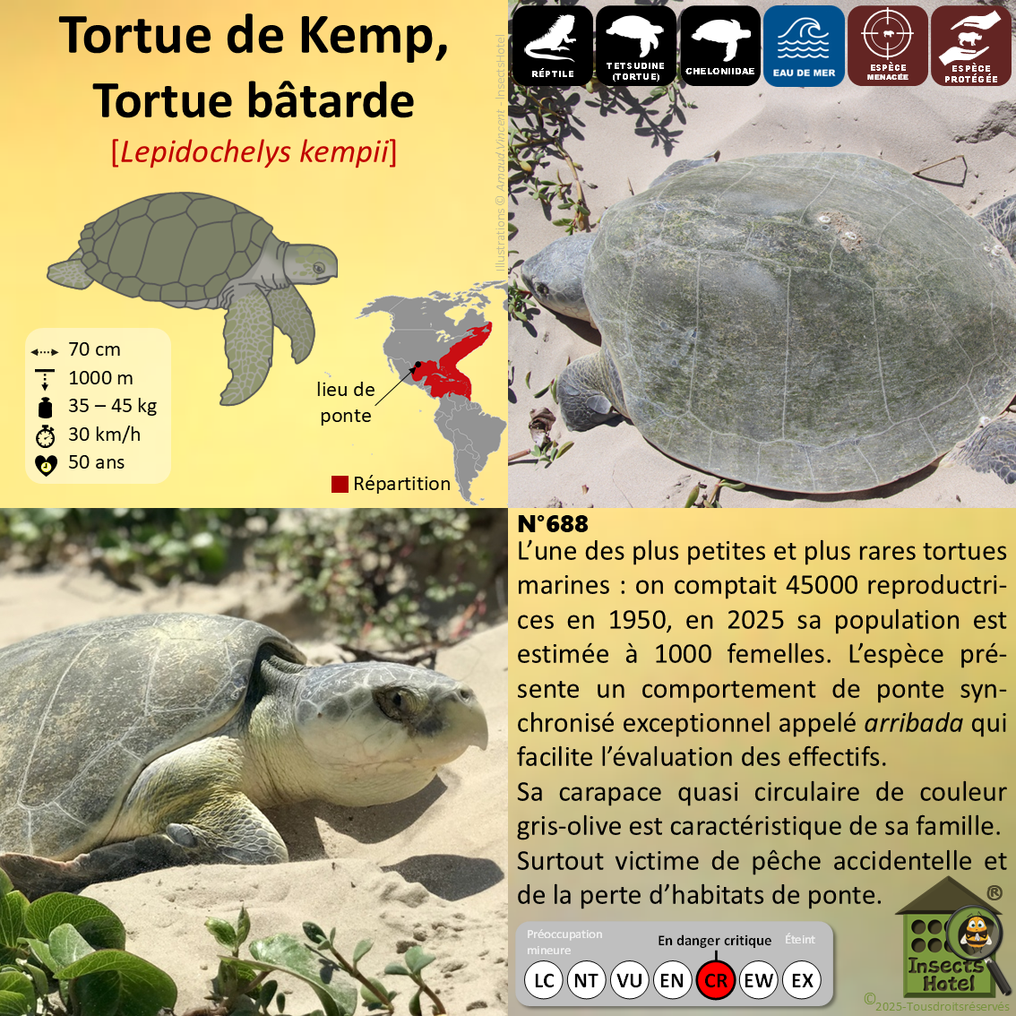 product_image_731149