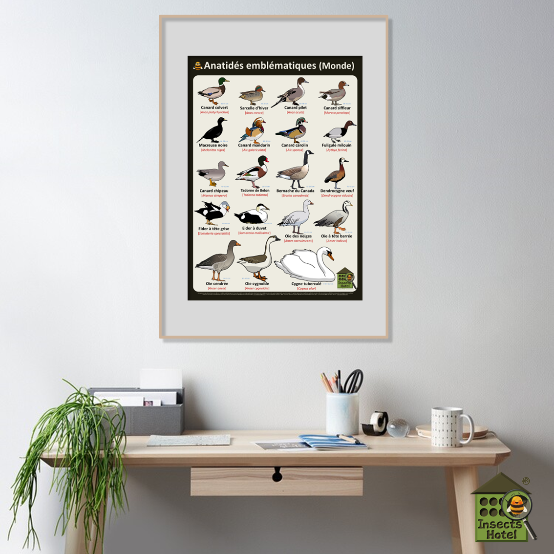 product_image_591238