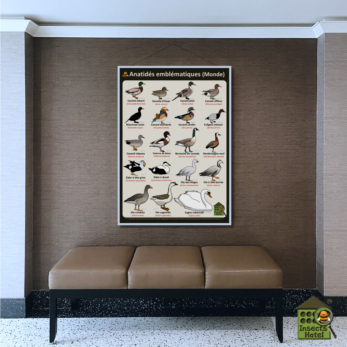 product_image_742701