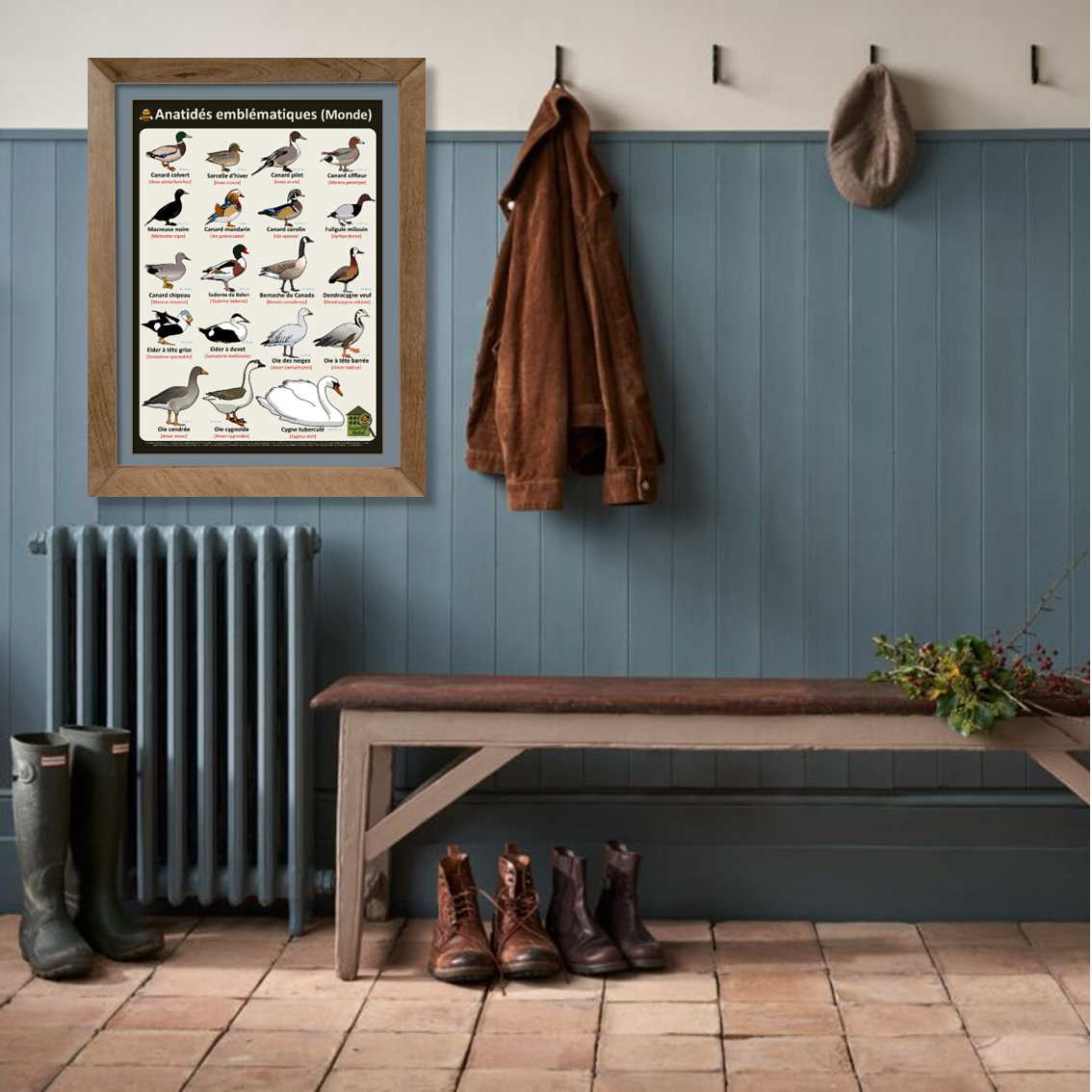 product_image_503726