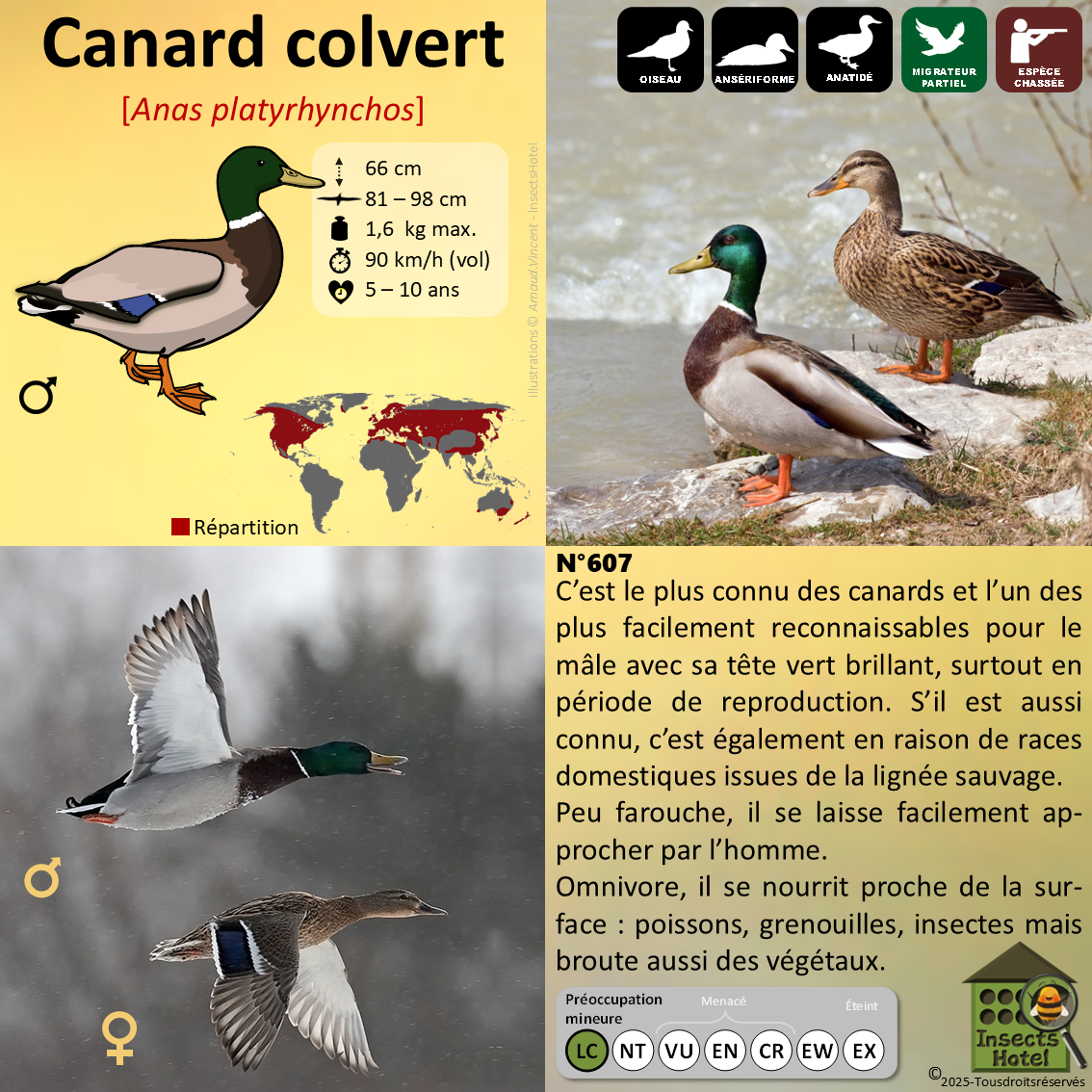 product_image_449369