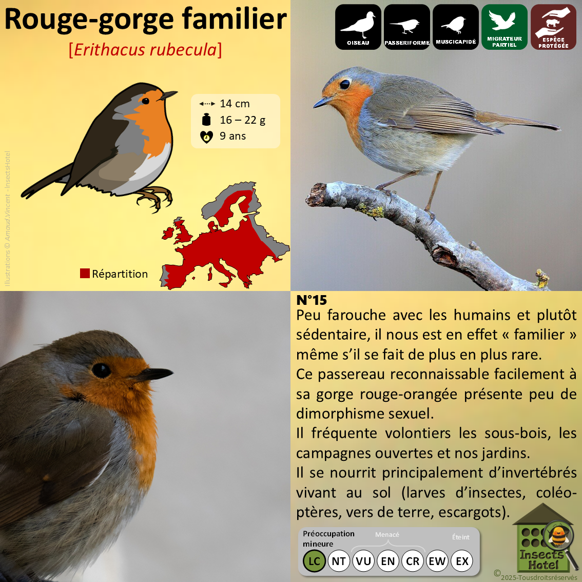 product_image_282096