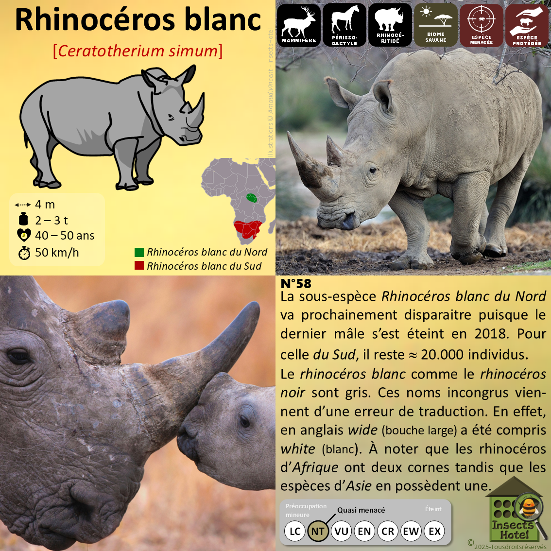 product_image_603233