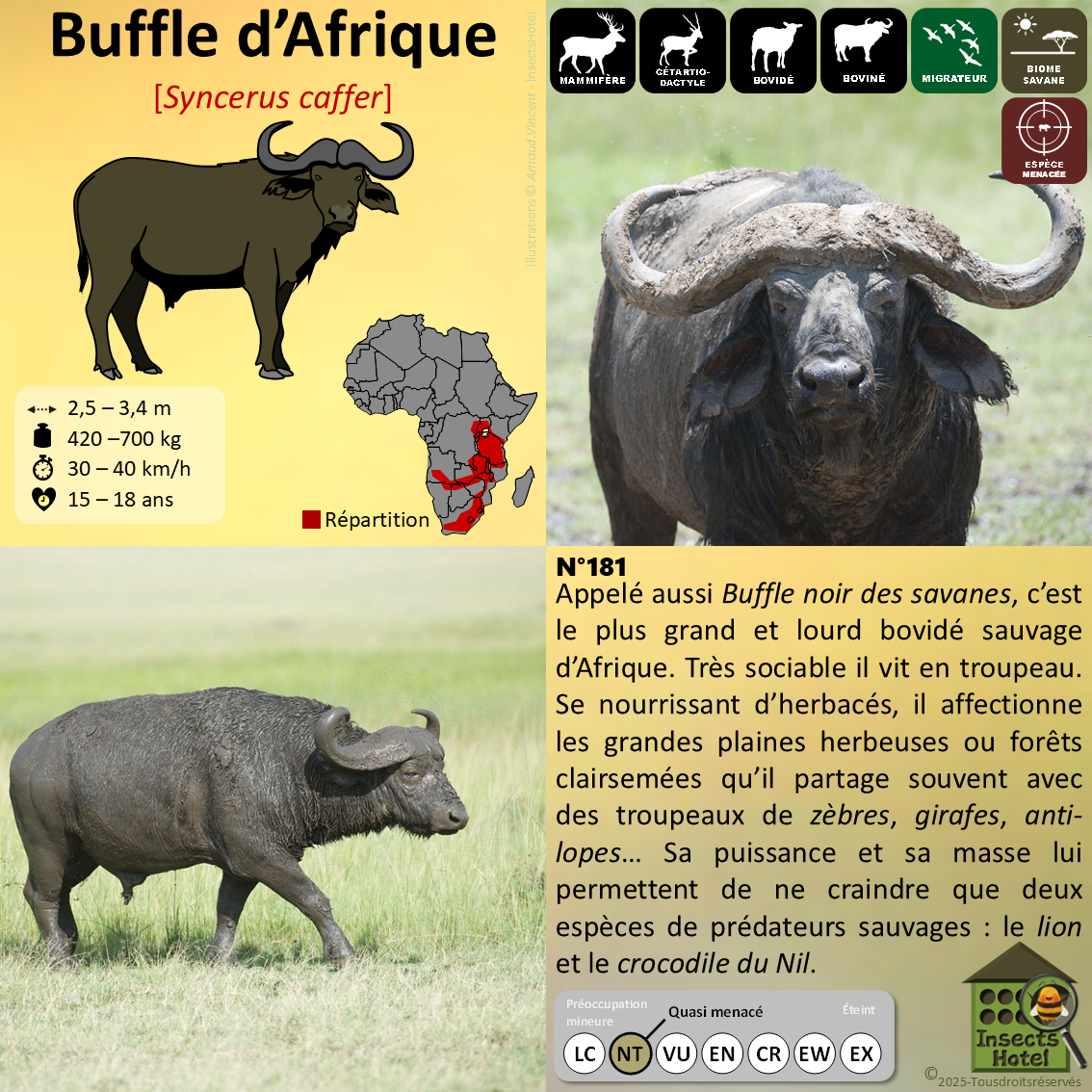 product_image_119778