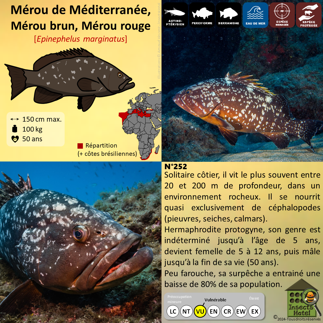 product_image_931464