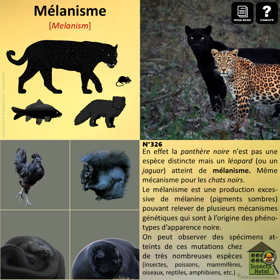 product_image_730012